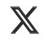 X Logo Isolated for Dan
